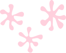 担当コーディネーターがサポート